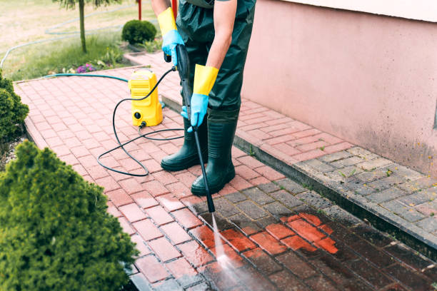 Animal Enclosure Cleaning in Waikoloa Village, HI